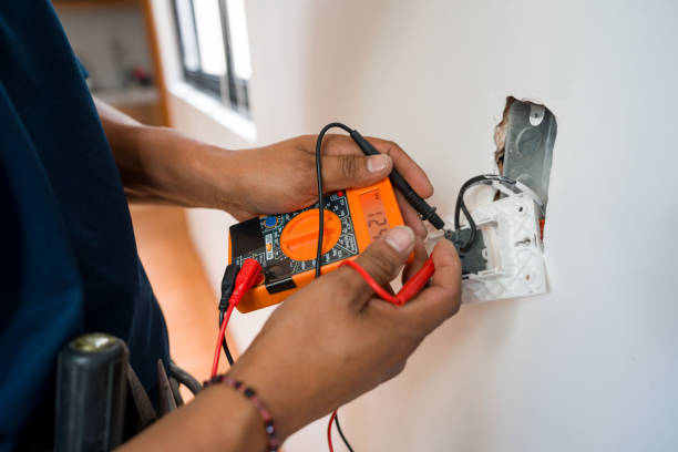 Best Electric Panel Repair  in Madison, FL